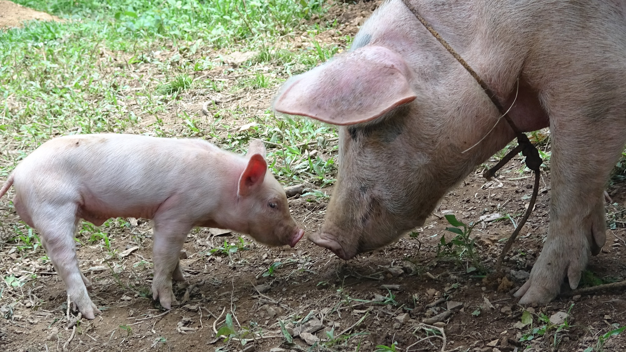 363316545_279953681301968_2381346051403249070_n